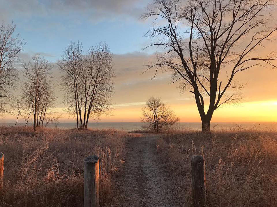 Jen Sepanski: Frost on prairie